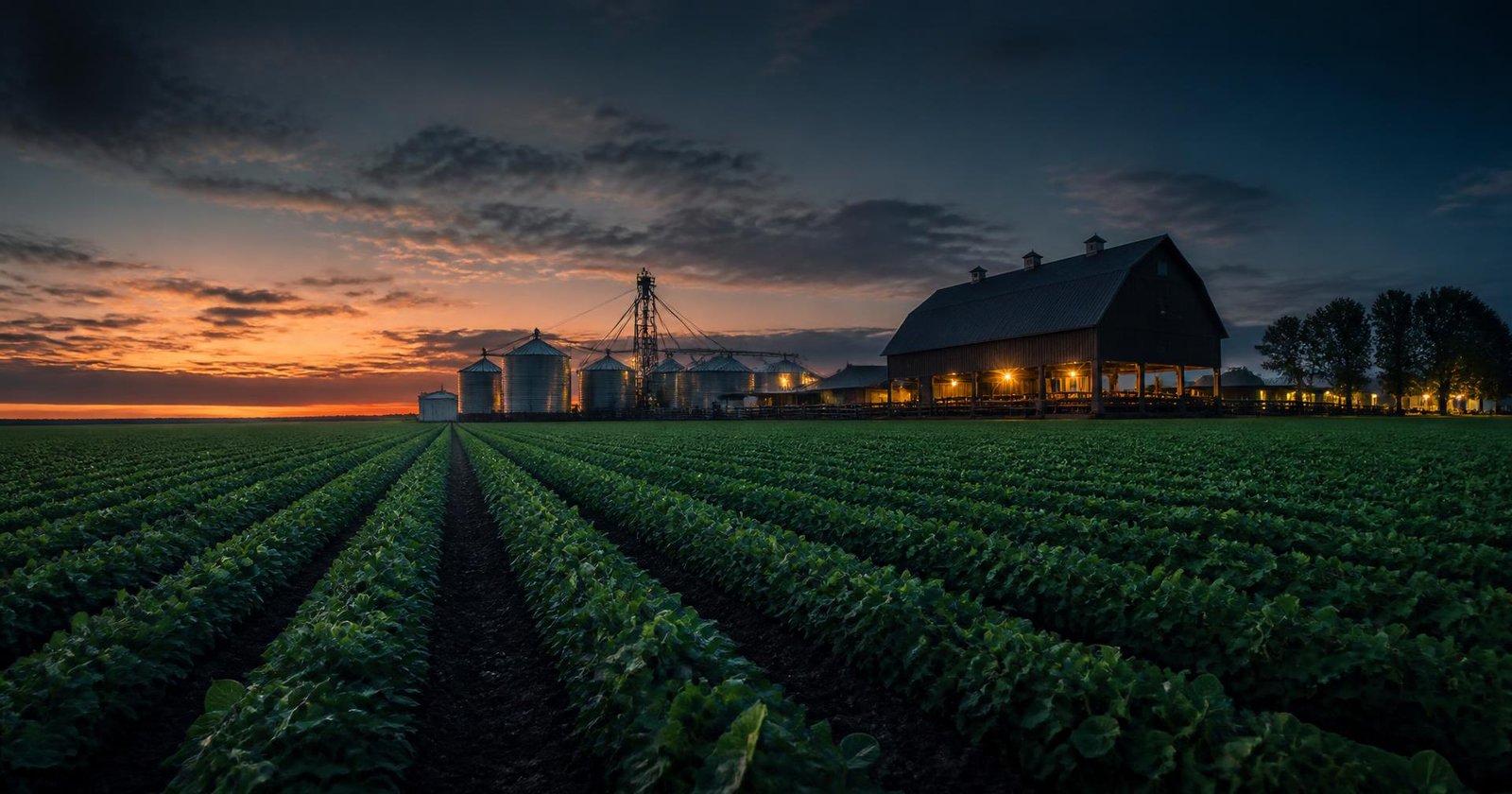 Propriedade agrícola ao anoitecer